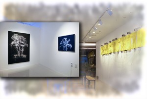 이탈展(퍼스트아이콘)_20150605