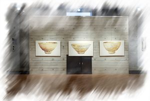 임상진展(스페이스 나무)_20160509