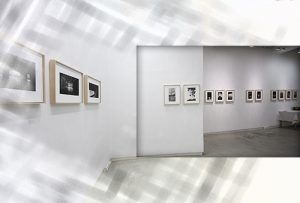 이인미展(갤러리 자인제노)_20160601