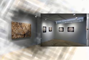 정채희展(우주의바다 갤러리)_20231023