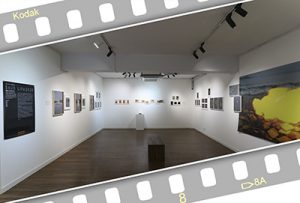 Still Life 2025展(스페이스 포포 갤러리)_20250424