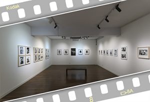 유일상展(스페이스 포포 갤러리)_20250605