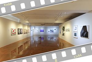 ANECDOTE : 사소하고 연약하고 활기찬 말들展(스페이스 이신)_20250528