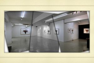 김정우展(갤러리 이듬)_20250430